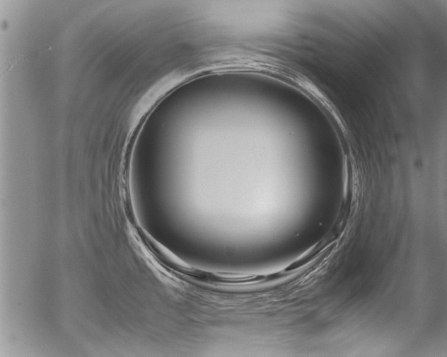 X0000054471485200508011448