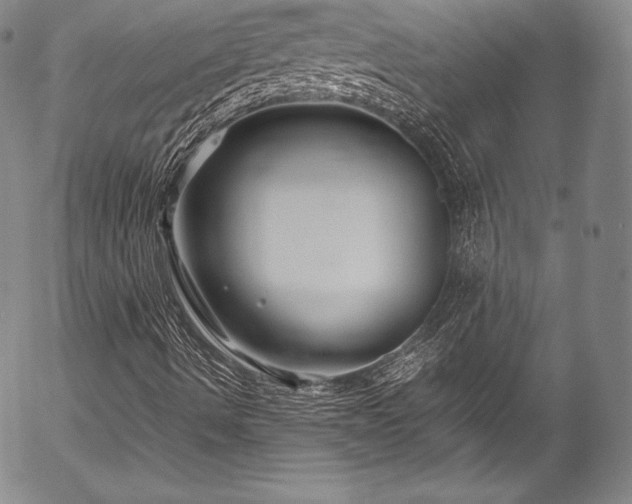 X0000054471490200508011447