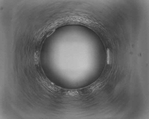 X0000054471491200508011447