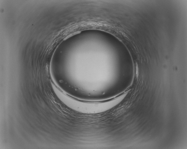 X0000054471492200508011447