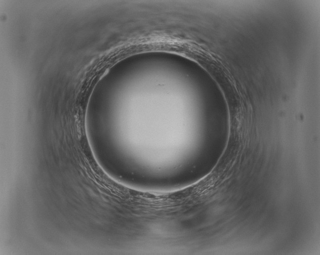 X0000054471493200508011447