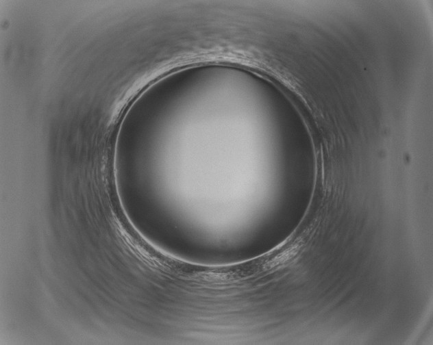 X0000054471500200508011447