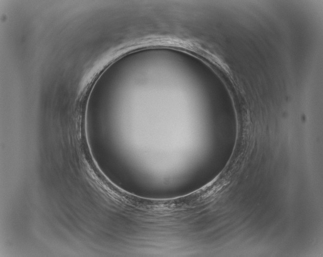 X0000054471504200508011447