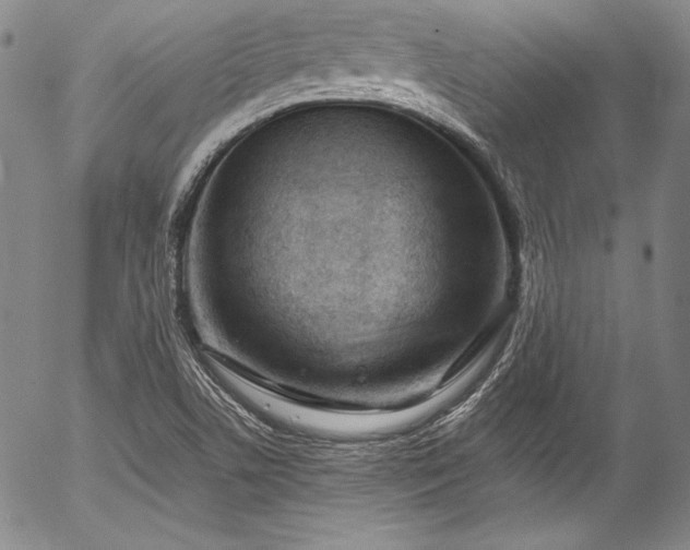 X0000054471506200508011447