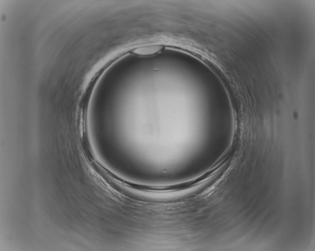 X0000054471510200508011447