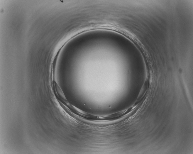 X0000054471520200508011447