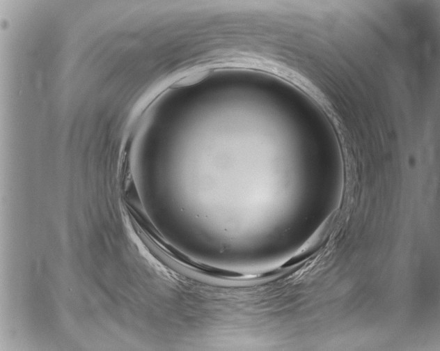 X0000054471536200508011448