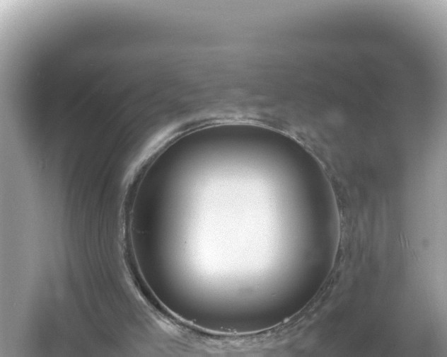 X0000054470005200508052029