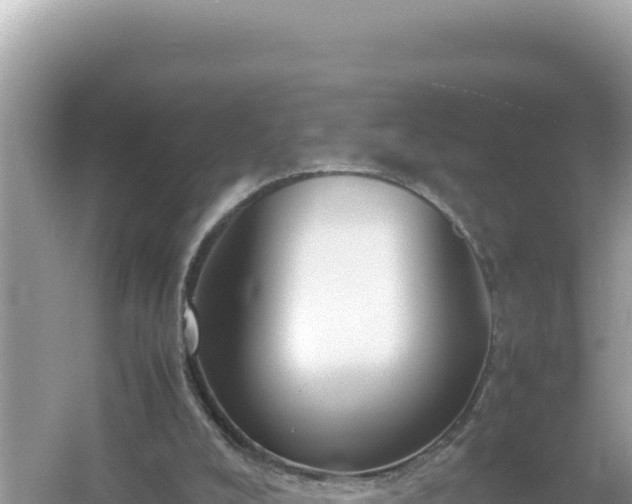 X0000054470008200508052029
