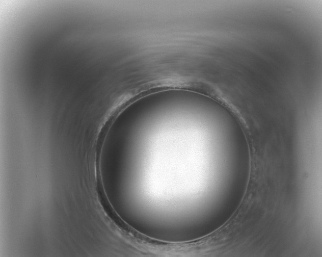 X0000054470011200508052029