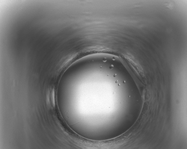 X0000054470014200508052029