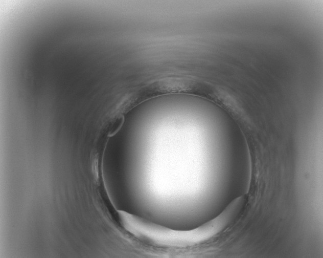 X0000054470021200508052028