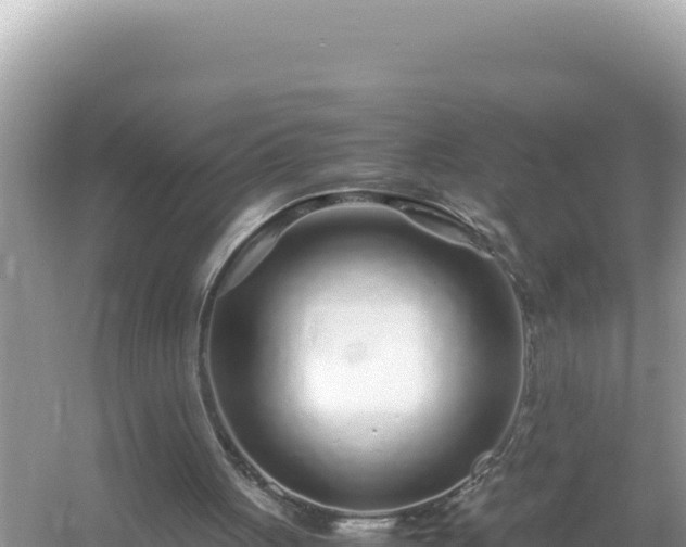 X0000054470051200508052027