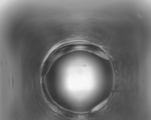 X0000054470056200508052027