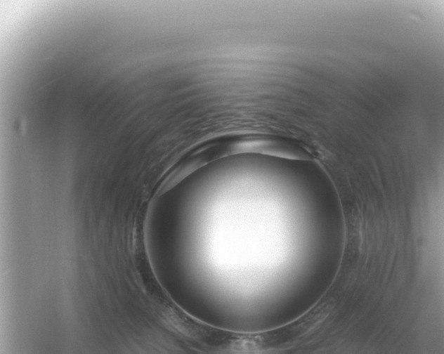 X0000054470080200508052028