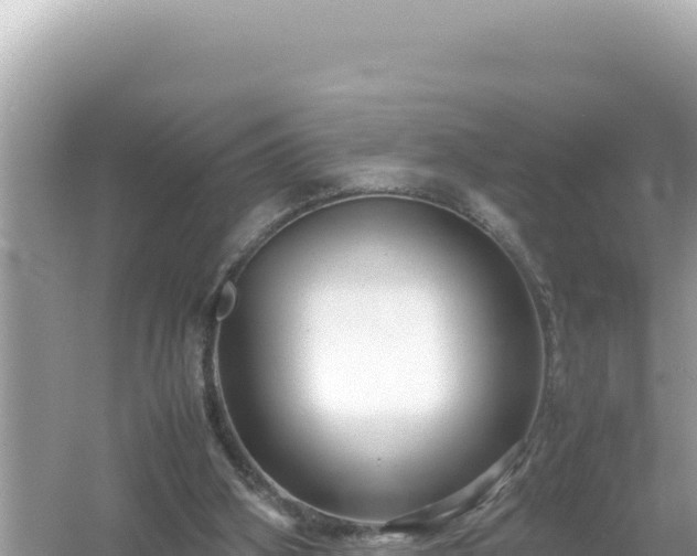 X0000054470106200508052027
