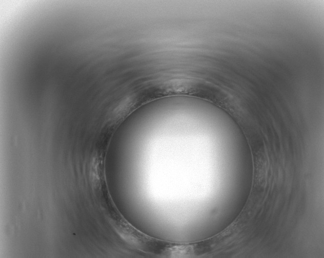 X0000054470126200508052027