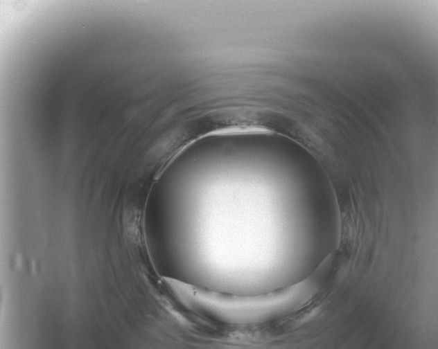 X0000054470141200508052026