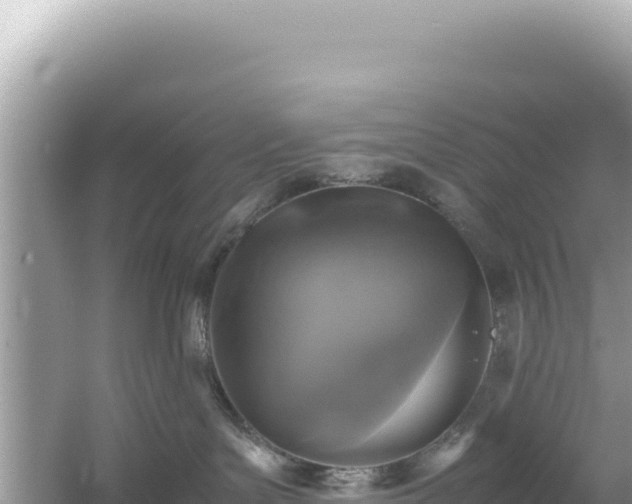 X0000054470143200508052026