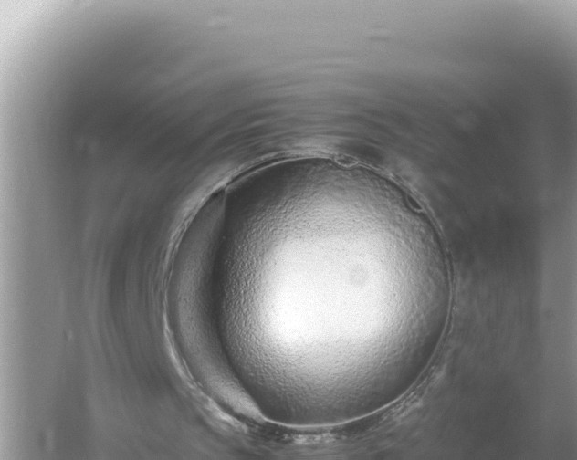 X0000054470145200508052026