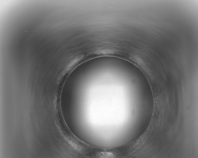 X0000054470159200508052026