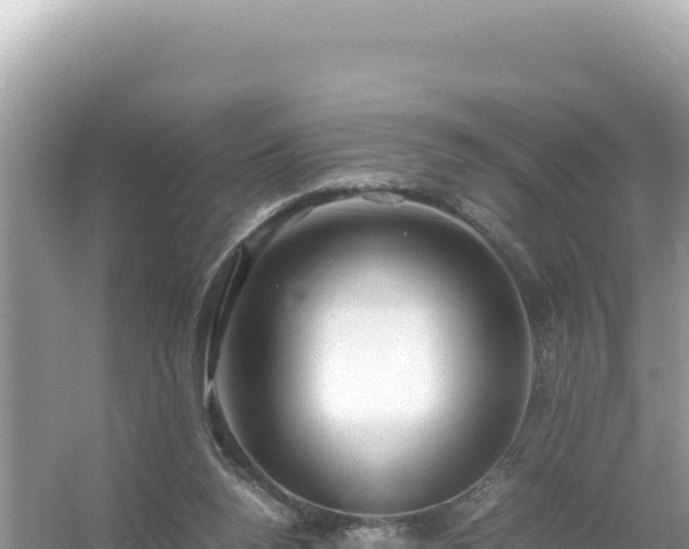 X0000054470160200508052026
