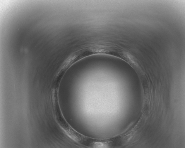 X0000054470167200508052026