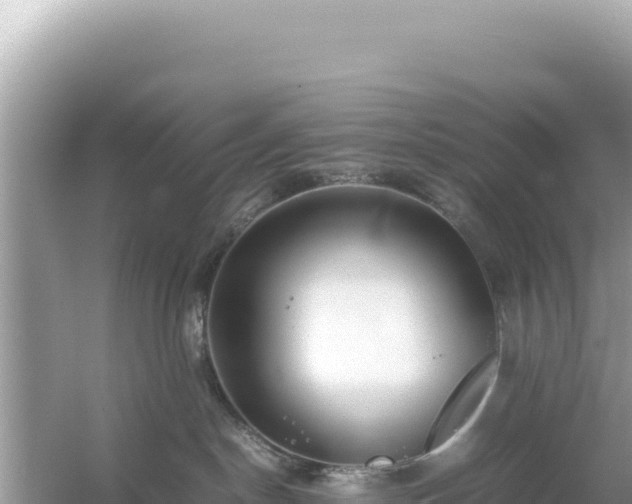 X0000054470190200508052026