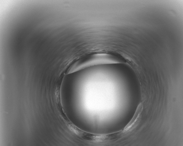 X0000054470192200508052026