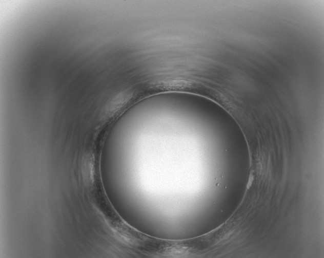 X0000054470206200508052025