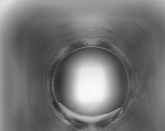 X0000054470209200508052025