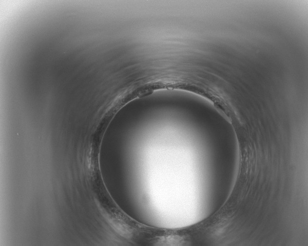 X0000054470212200508052025