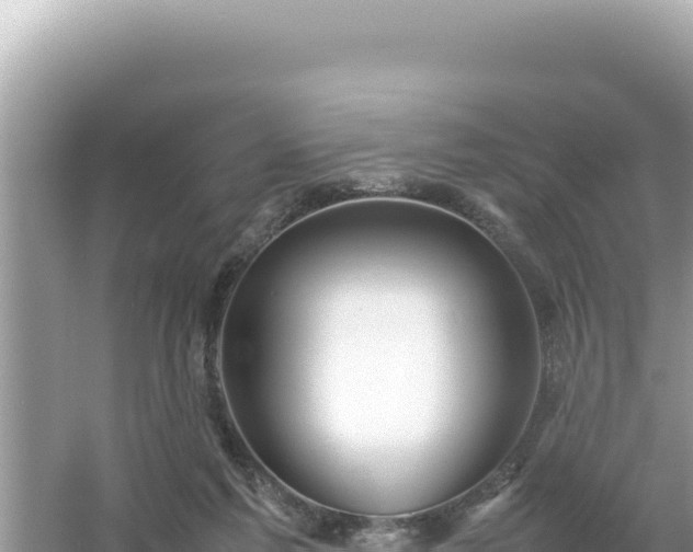 X0000054470213200508052025
