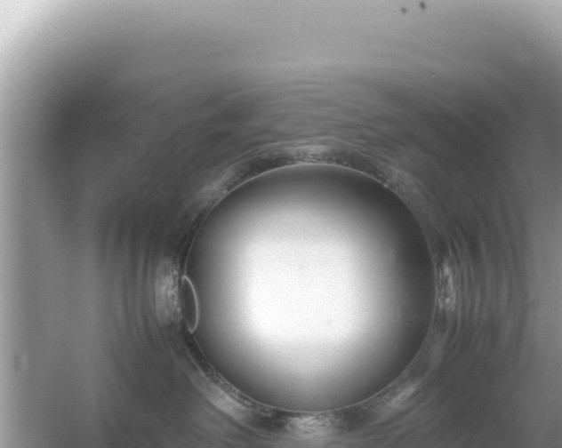 X0000054470238200508052025
