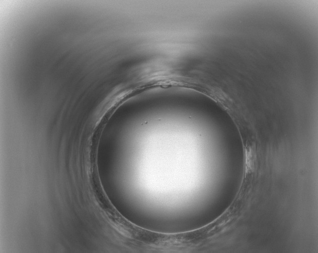 X0000054470291200508052024