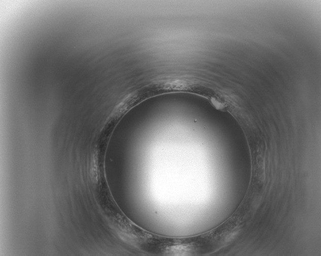X0000054470312200508052024