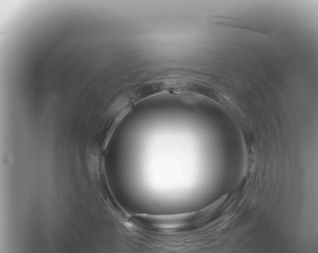 X0000054470333200508052023