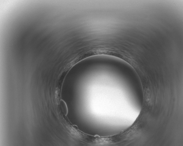 X0000054470378200508052023