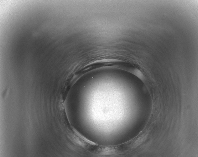 X0000054470384200508052023