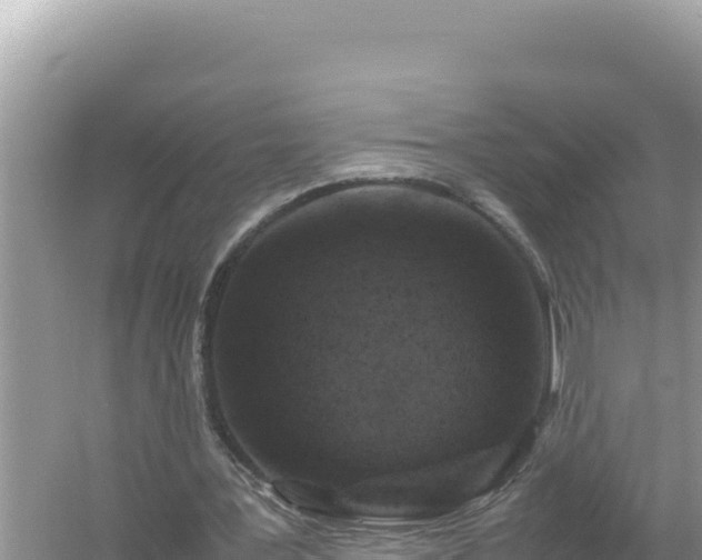 X0000054470387200508052022