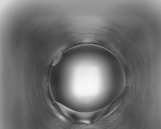X0000054470397200508052022