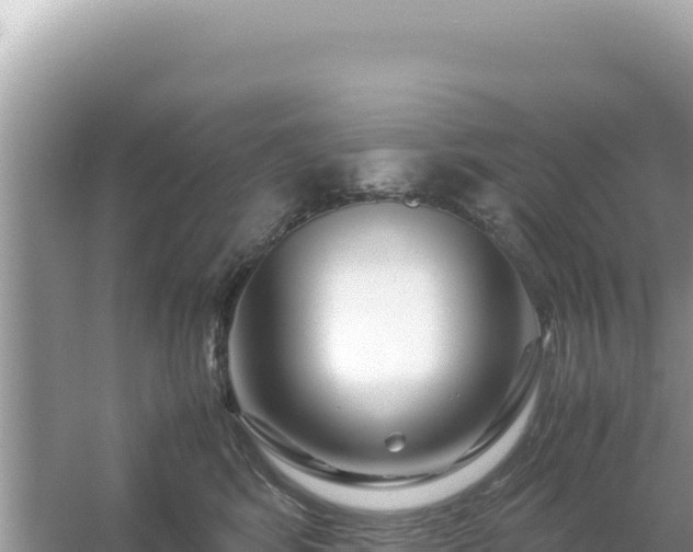 X0000054470424200508052022