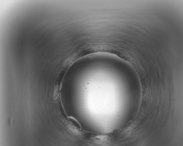 X0000054470478200508052021