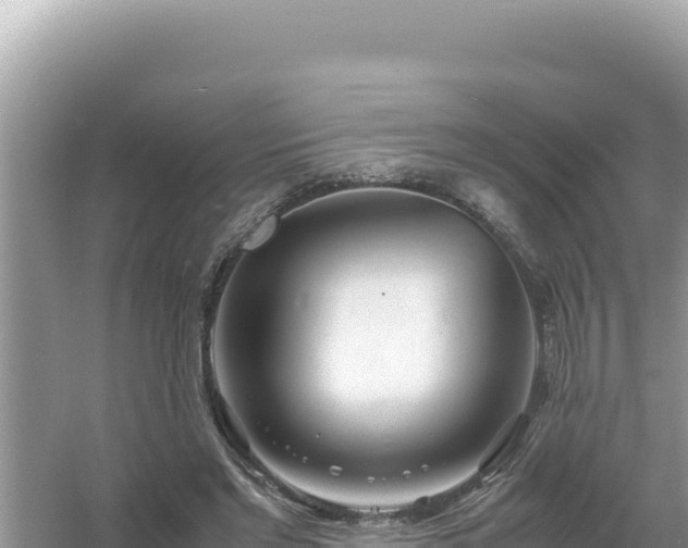 X0000054470493200508052020