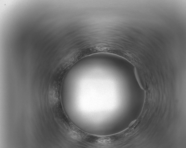 X0000054470606200508052019