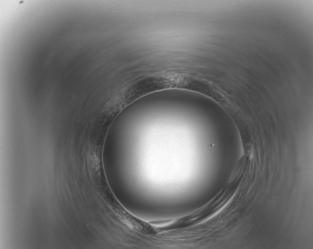 X0000054470613200508052018