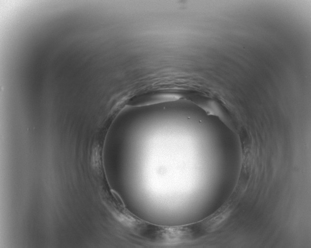 X0000054470623200508052018