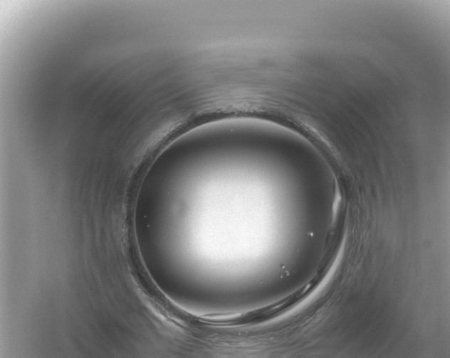 X0000054470677200508052017