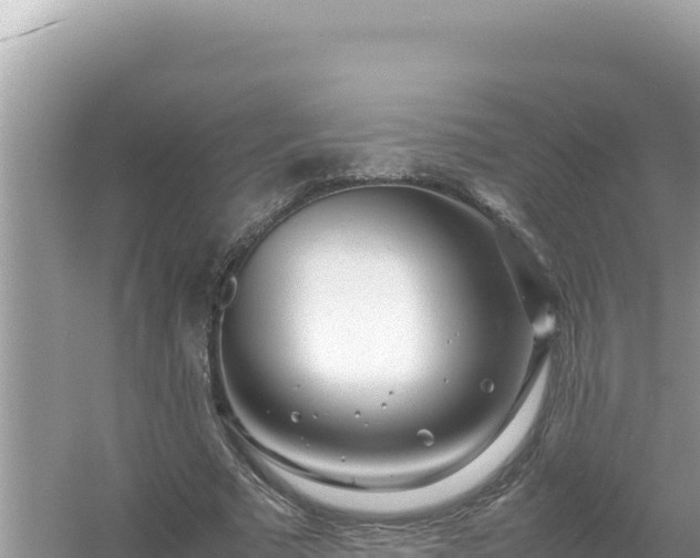 X0000054470681200508052017