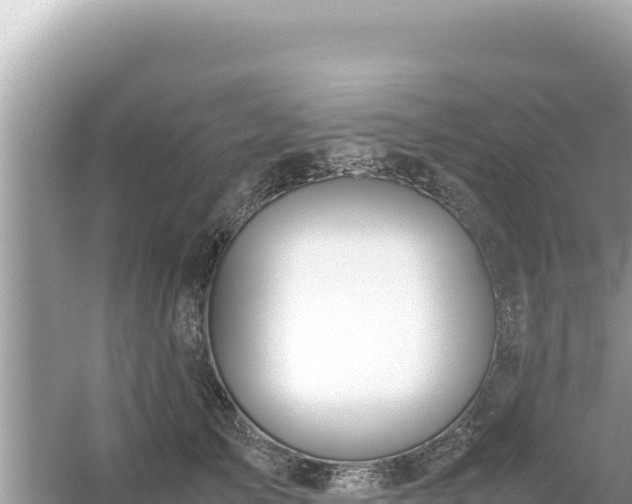 X0000054470705200508052017